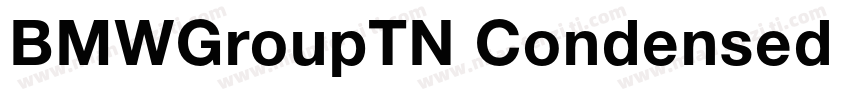 BMWGroupTN Condensed (正文)字体转换